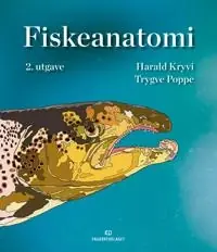Fiskeanatomi
